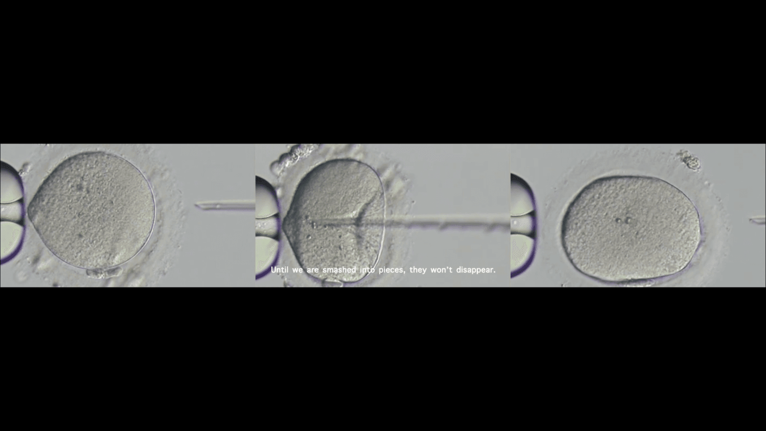 Just a Normal Day 平凡一日