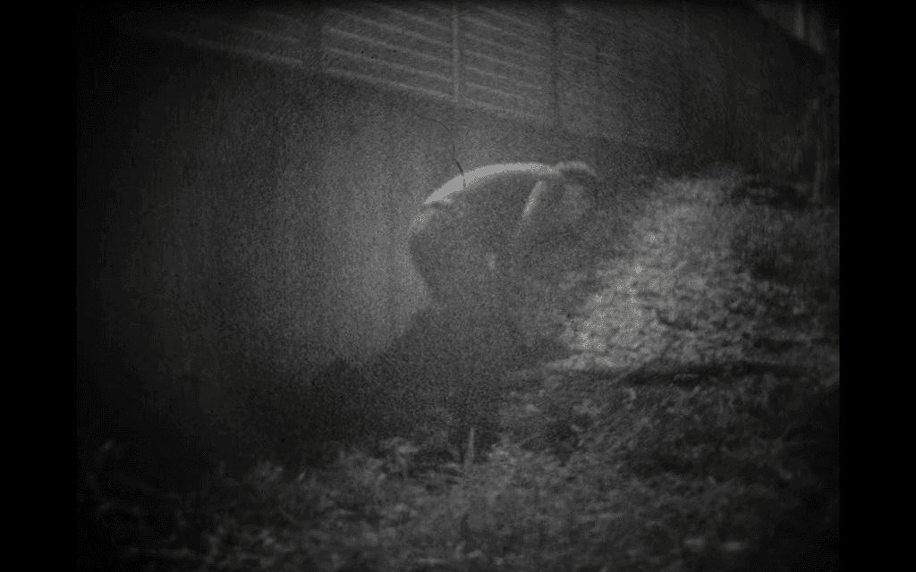 The Narrow Road to the Deep Sea, Part IV: The Digger | 通向深海的狹道，第四章：挖掘工