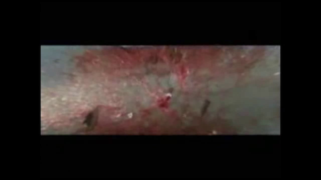 600sec600beats 600拍600秒