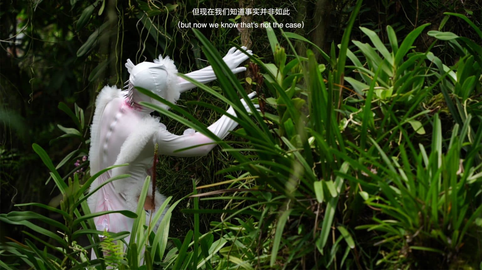 How Orchids Think: Becom(e)ing Orchids 蘭花如何思考：成為蘭