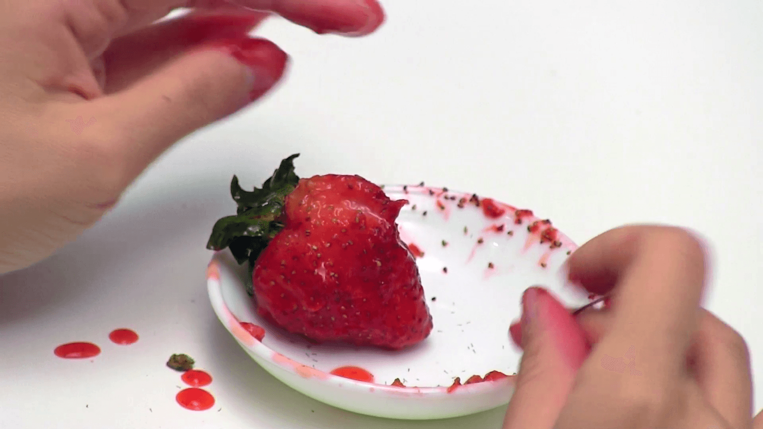 Sterilization 絕育