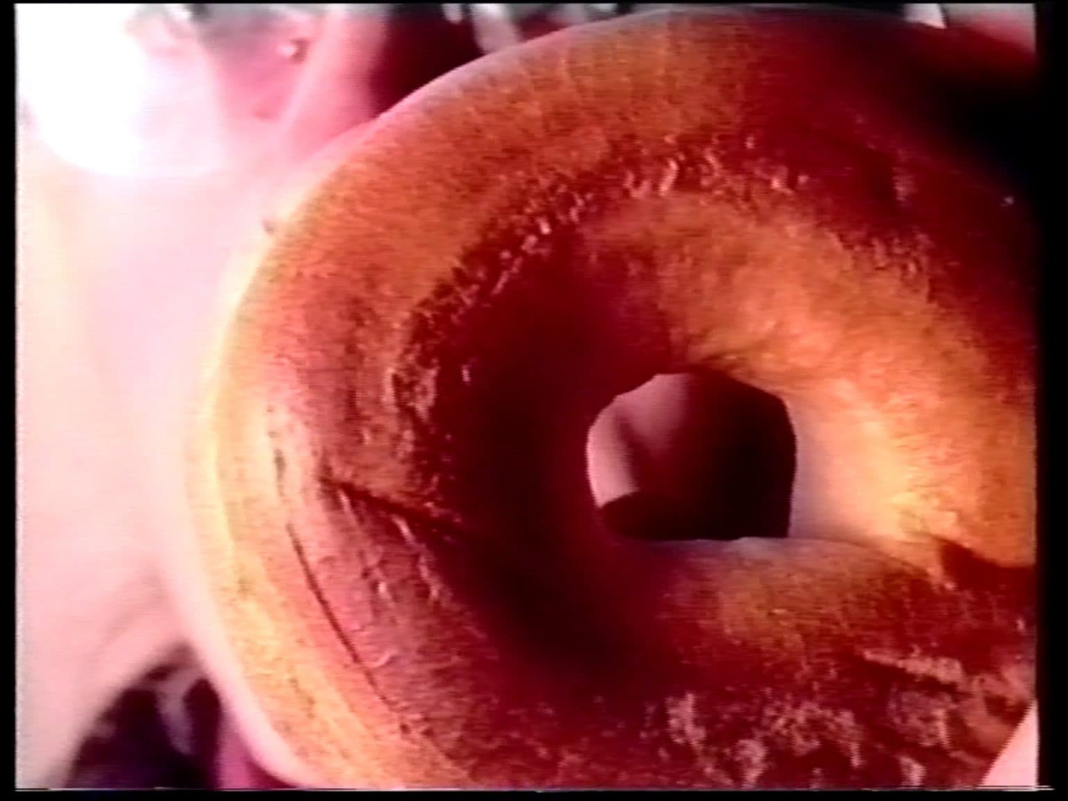 Bagels Für Berlin , Bagles for Berlin