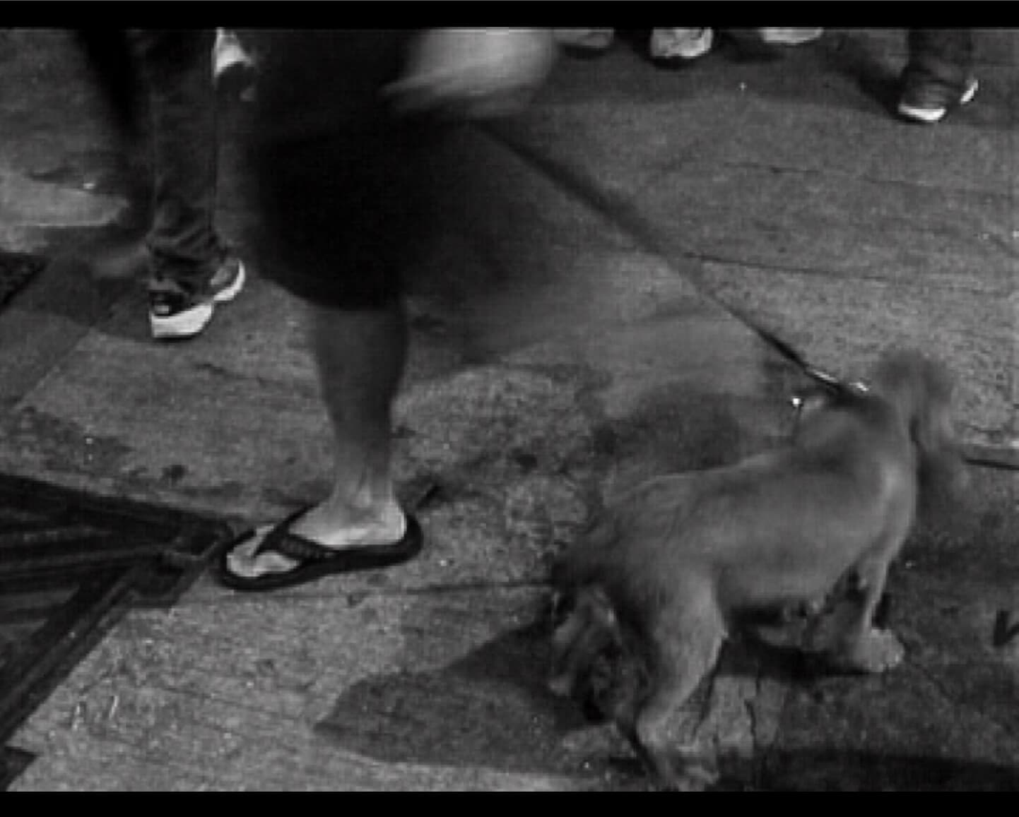 The Eyes Are The Objects (Hong Kong Part)