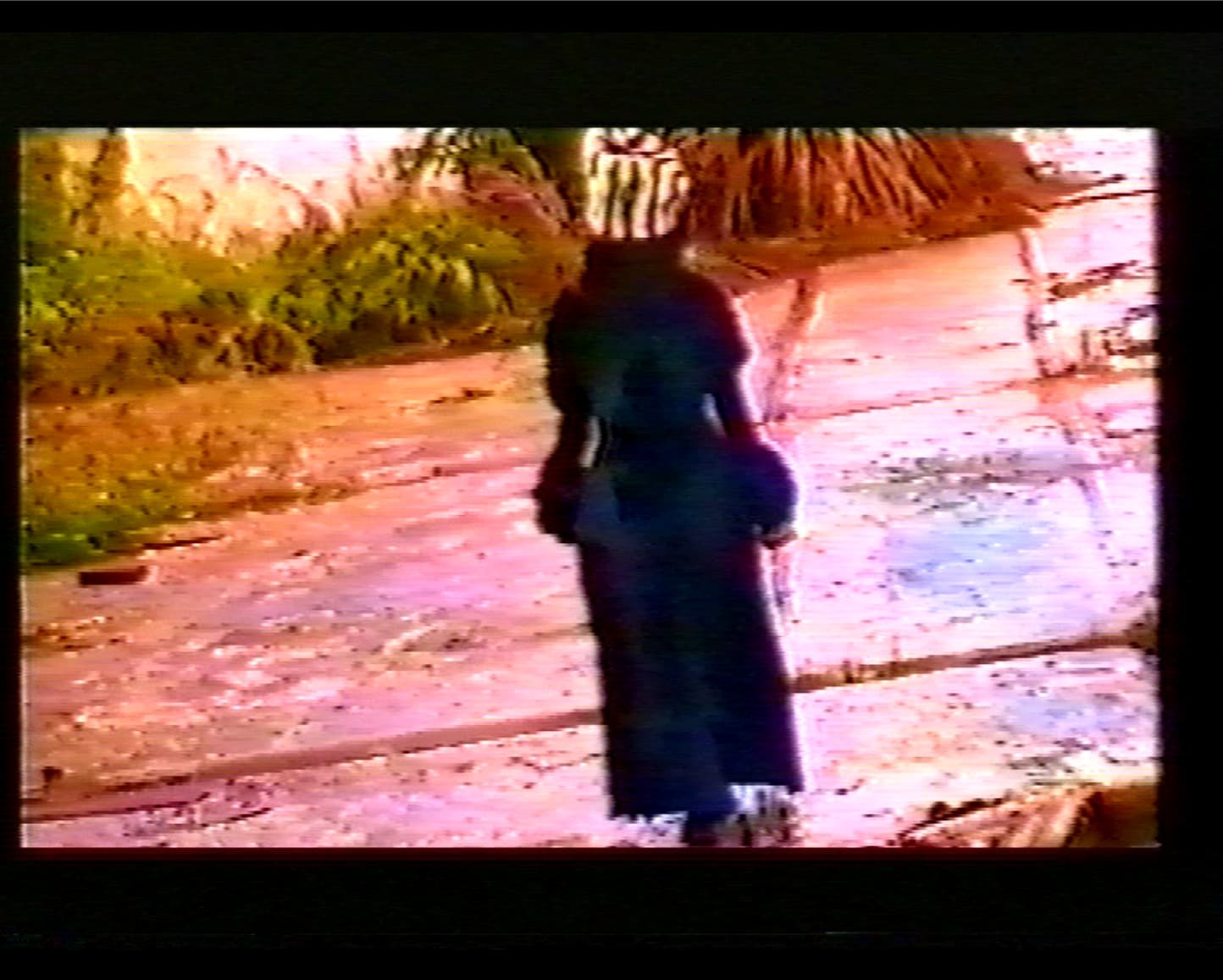 Schizophrenic Dream II 崩裂異像II