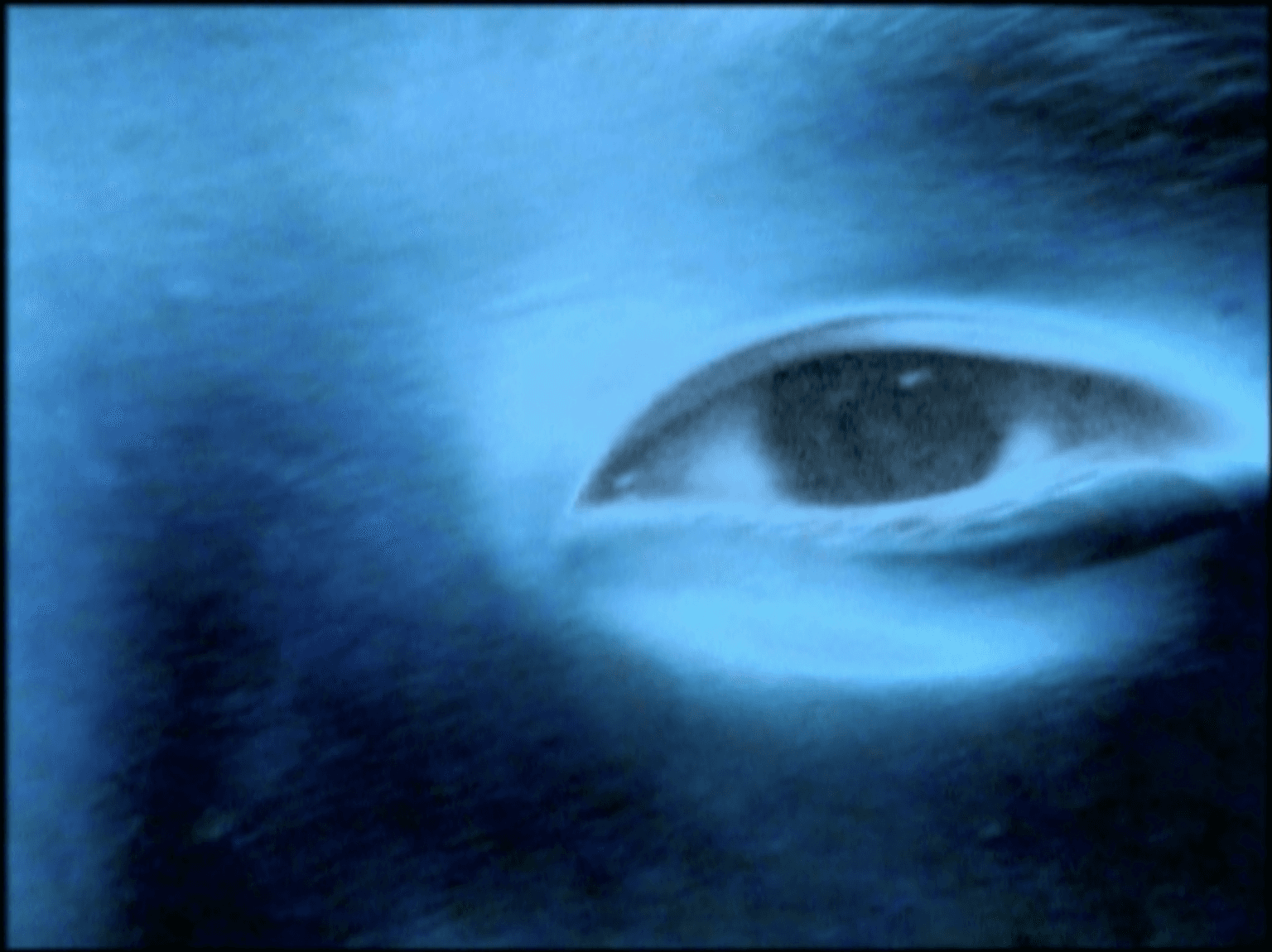 7 Visions Fugutives 七個景象