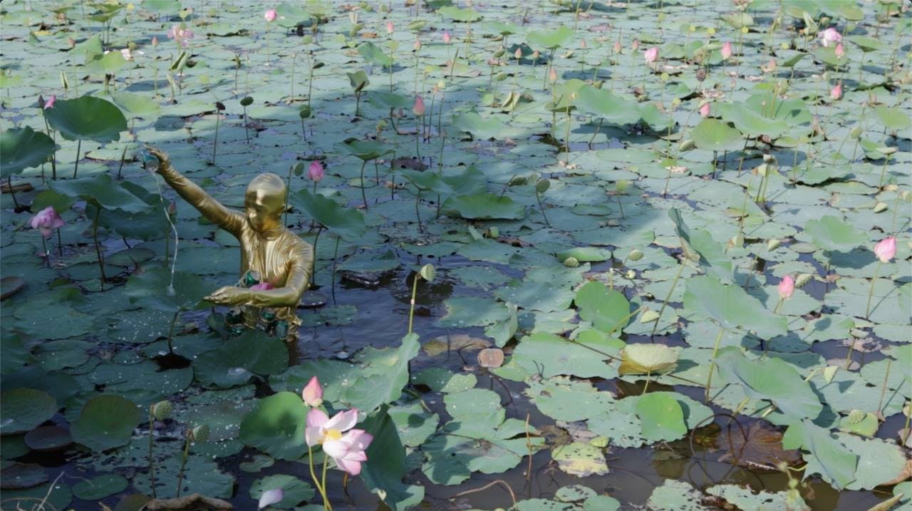 Qingdao Lotus Pond 青島蓮花池