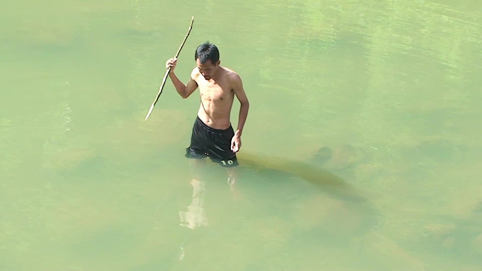 Superfluous Knowledge 多餘的知識