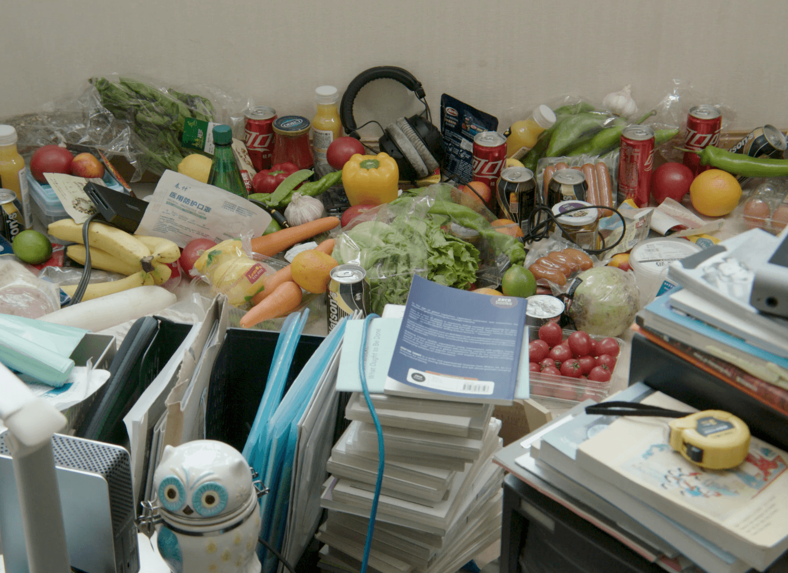 What is To Be Done 該做些什麼?