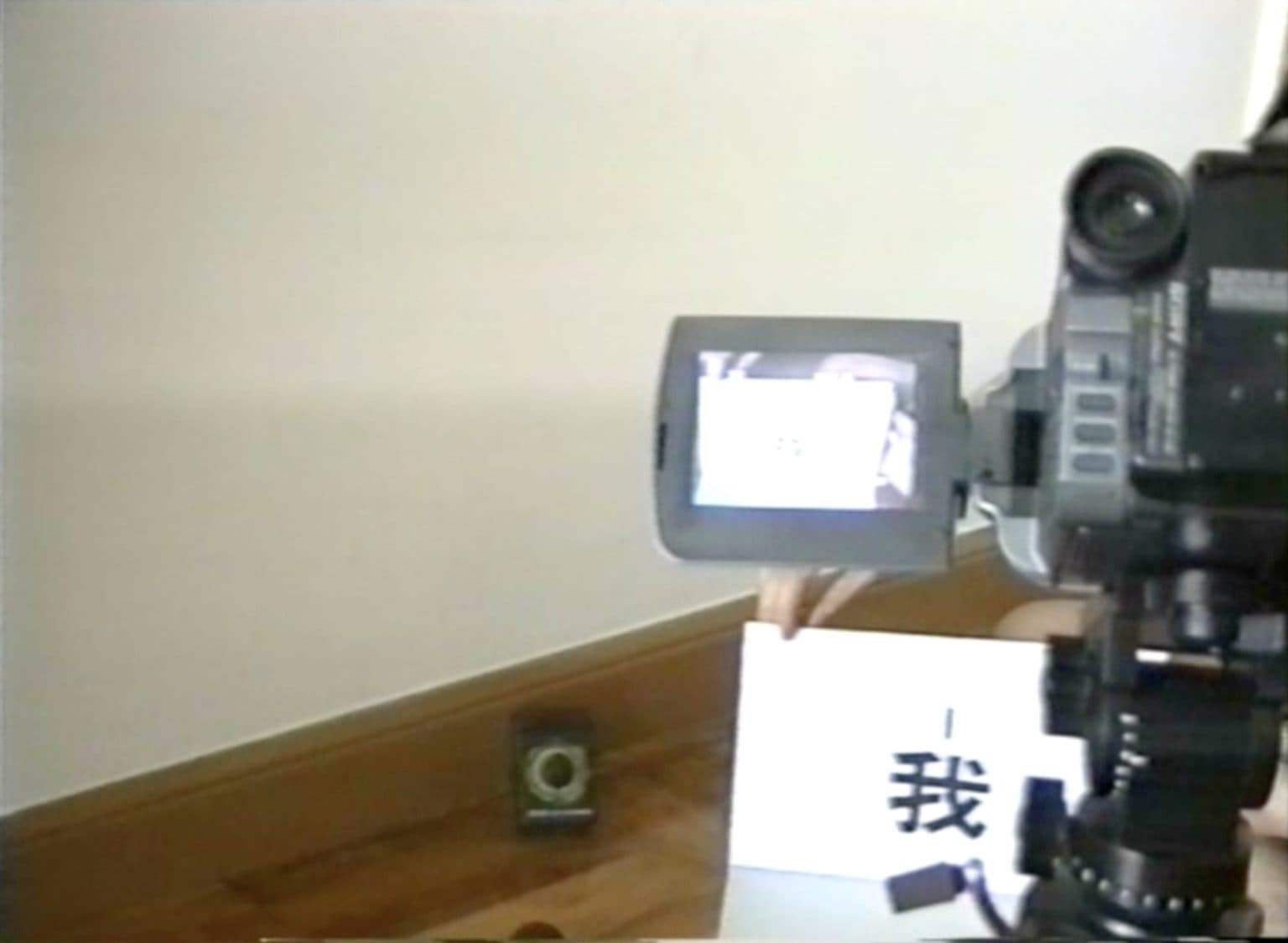 I have just used twenty words to describe very exactly about a work of art that is done by me (A Video Guide To Video Shooting) 我用了二十字去精確地描述我所做的一件作品(睇帶學拍錄像)