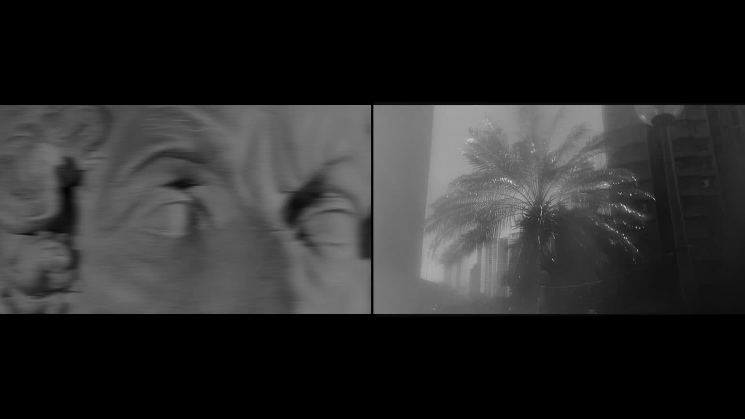 Blended Vision 視點融疊