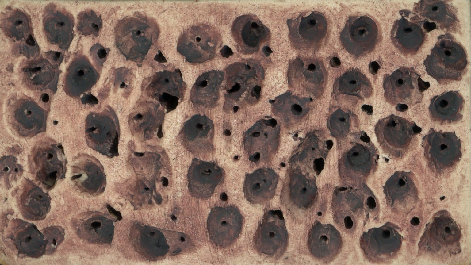 Dance of a Humble Atheist