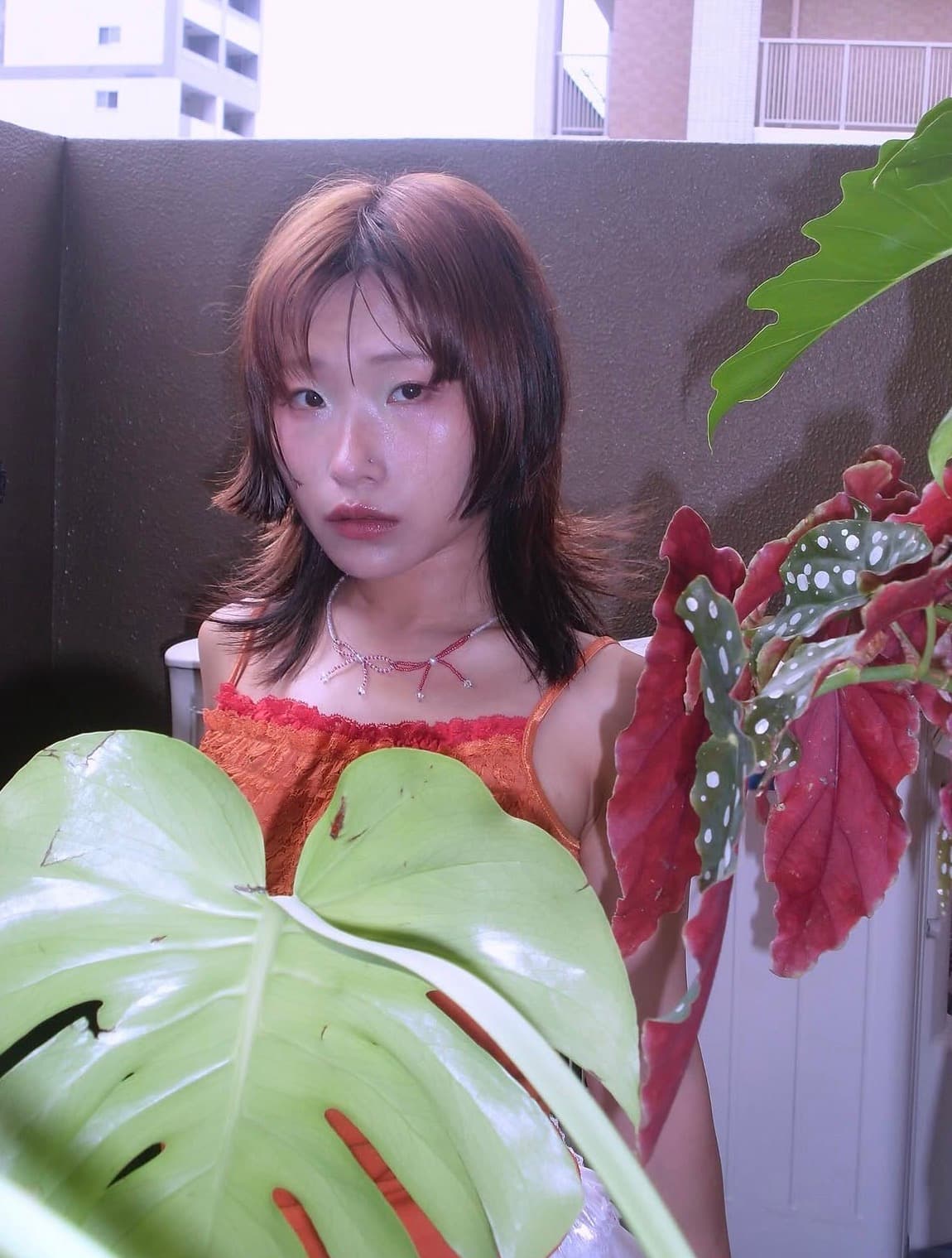 ZHANG Lv 張綠