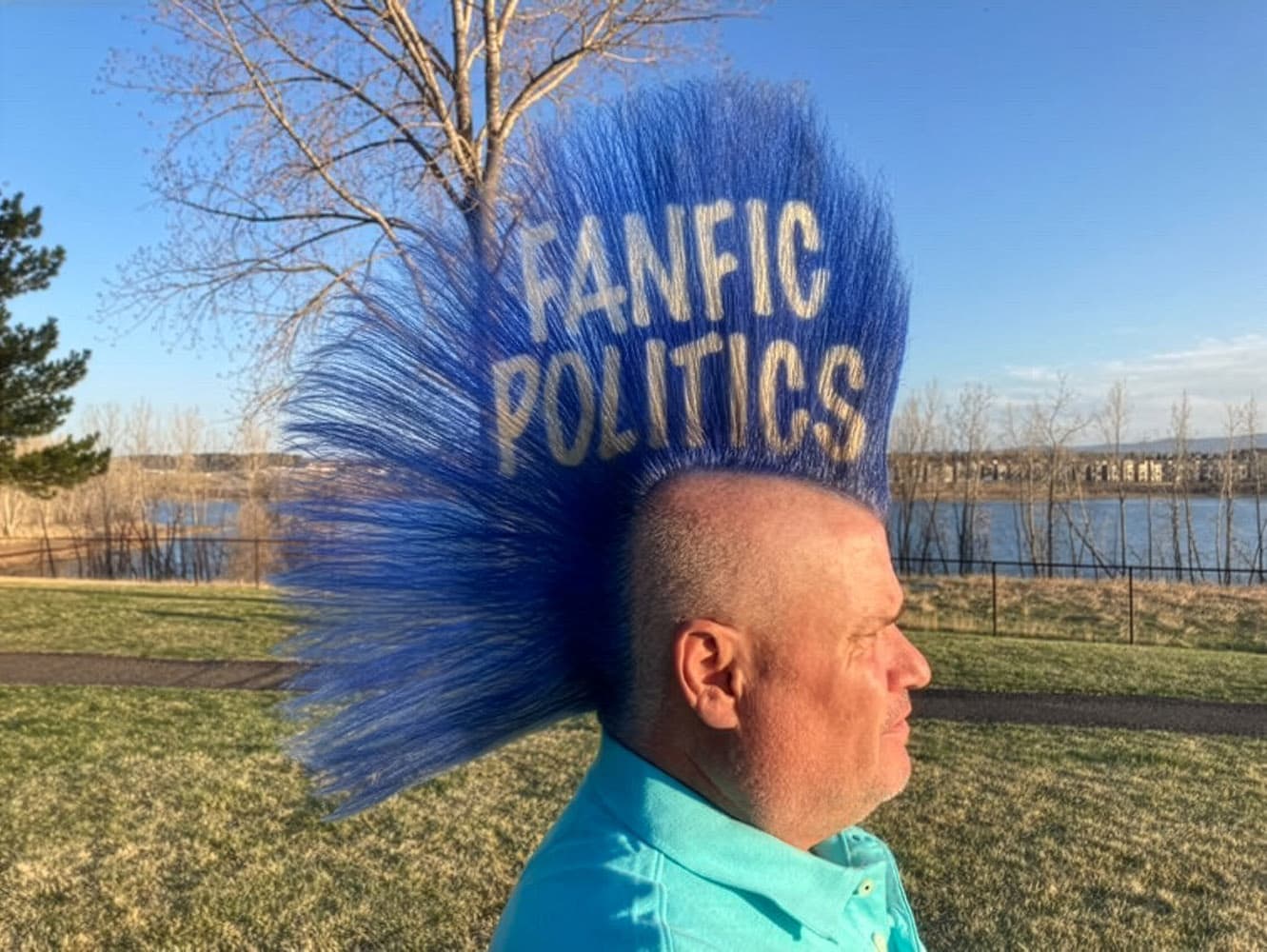Fanfictional Politics